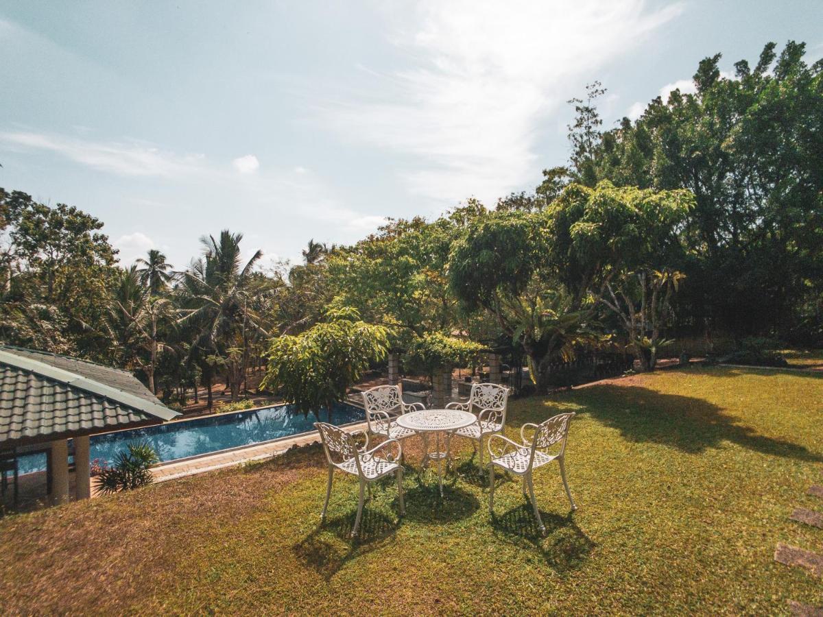 Airport Green Olive Villa Katunayake Exterior photo